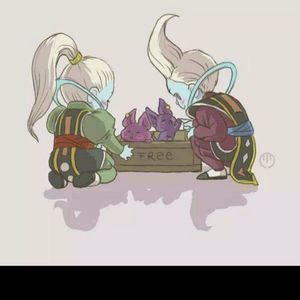 Meet your Posher, Alonso daniel